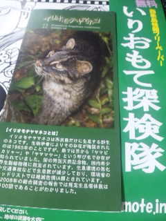 いりおもて探検隊