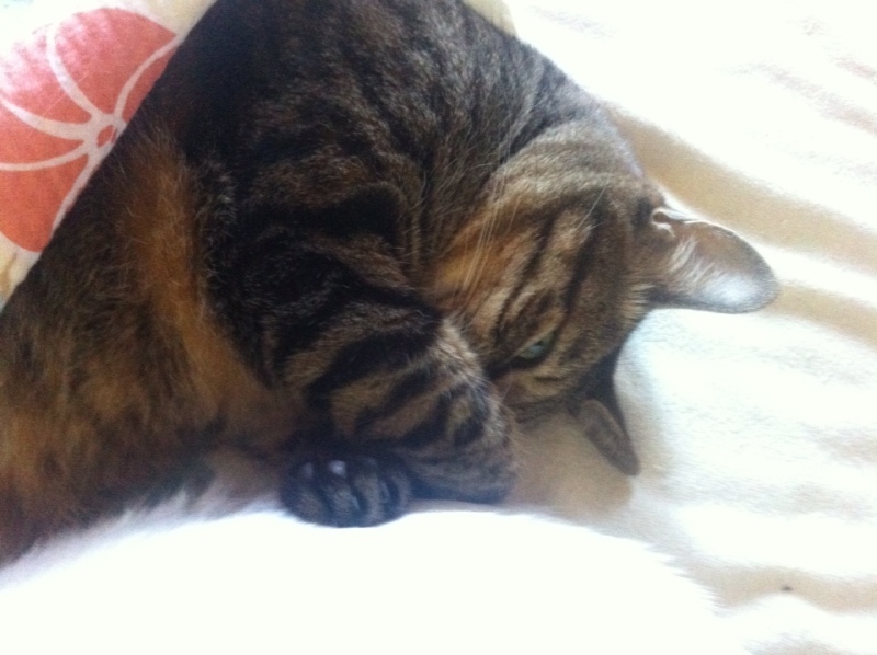 Simplogで写真を見る 投稿写真