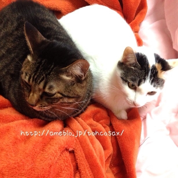 Simplogで写真を見る 投稿写真