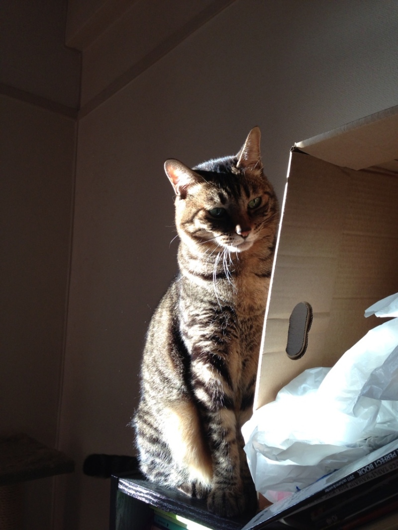 Simplogで写真を見る 投稿写真