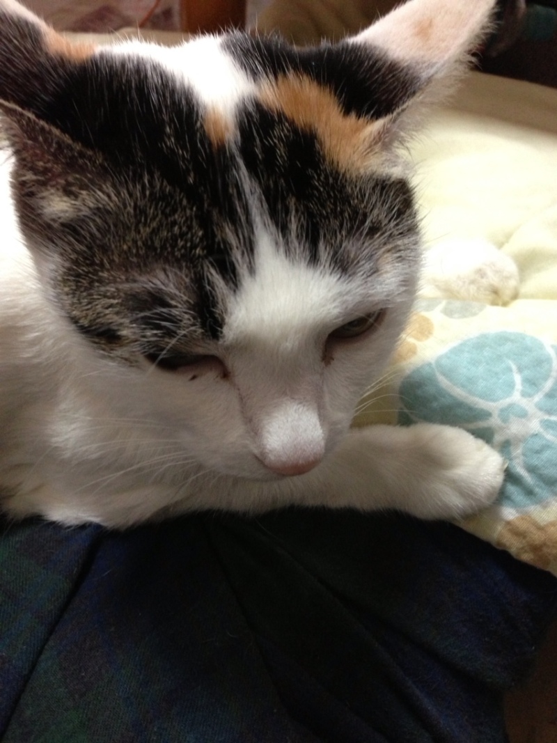 Simplogで写真を見る 投稿写真