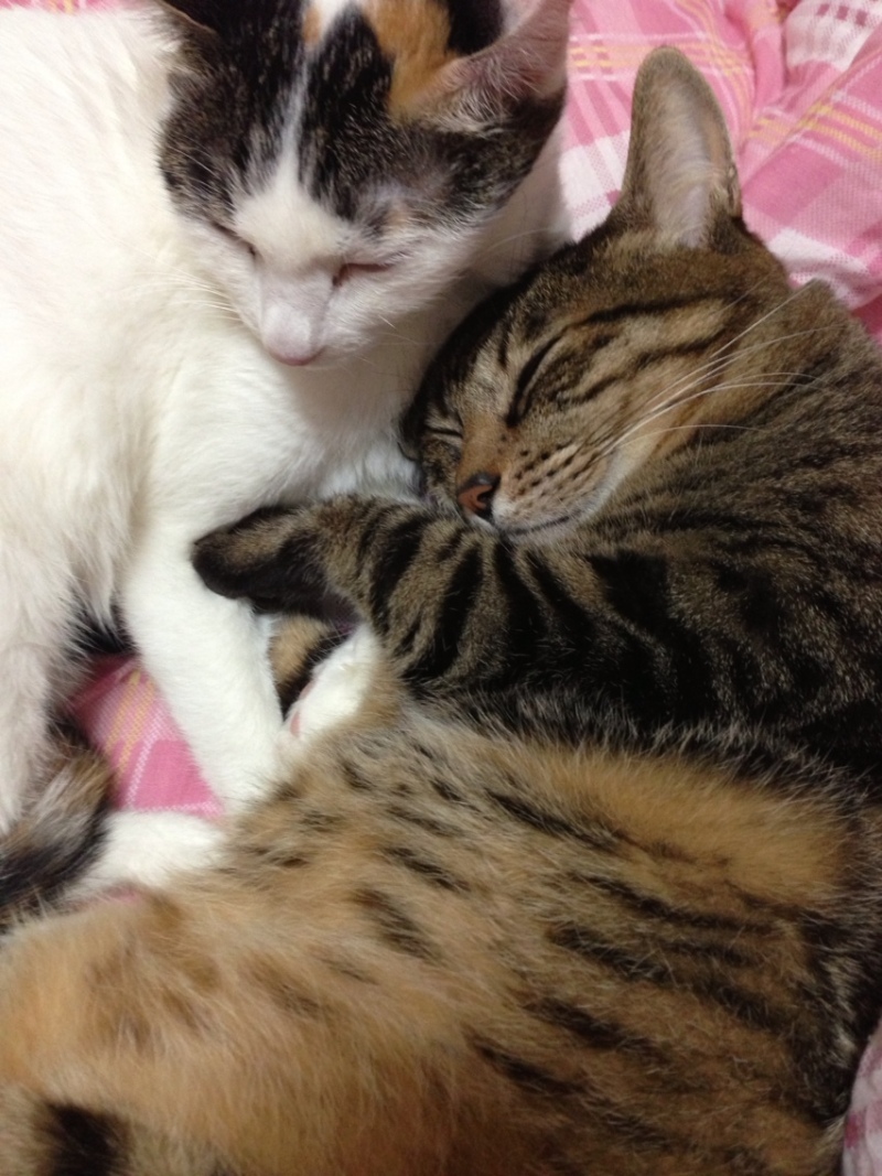 Simplogで写真を見る 投稿写真