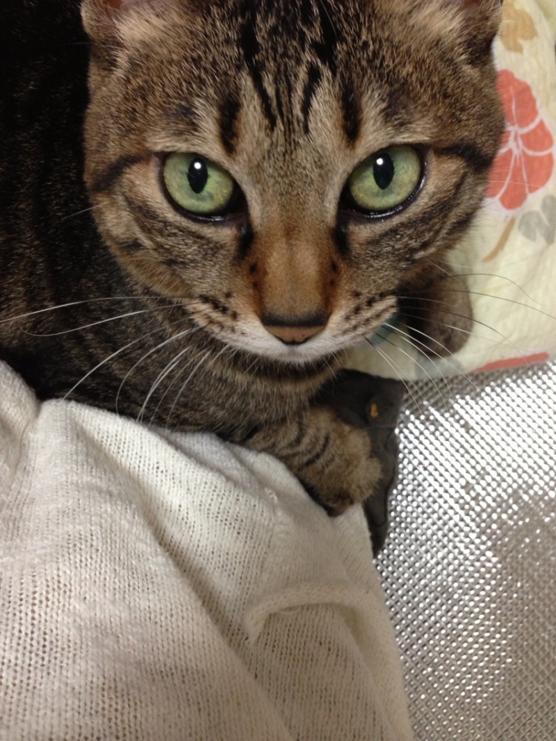 Simplogで写真を見る 投稿写真