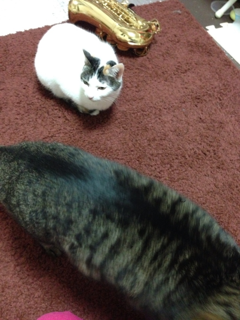 Simplogで写真を見る 投稿写真