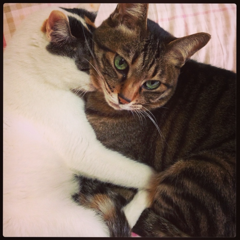 Simplogで写真を見る 投稿写真