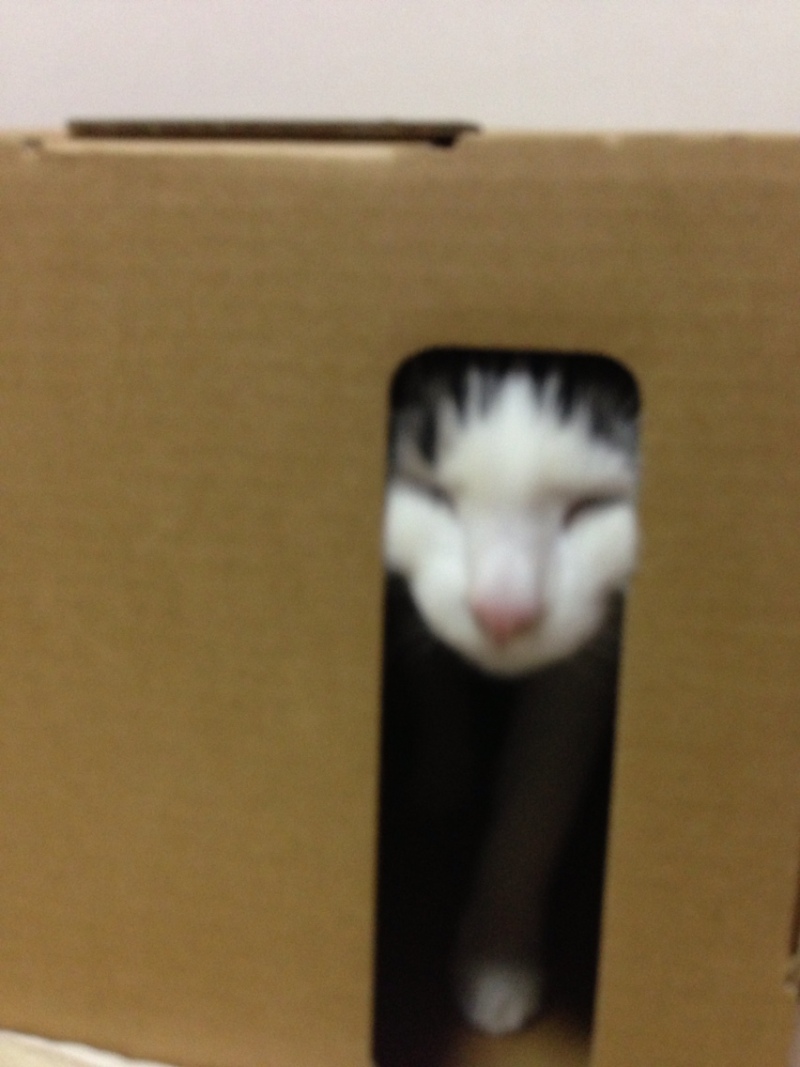 投稿写真