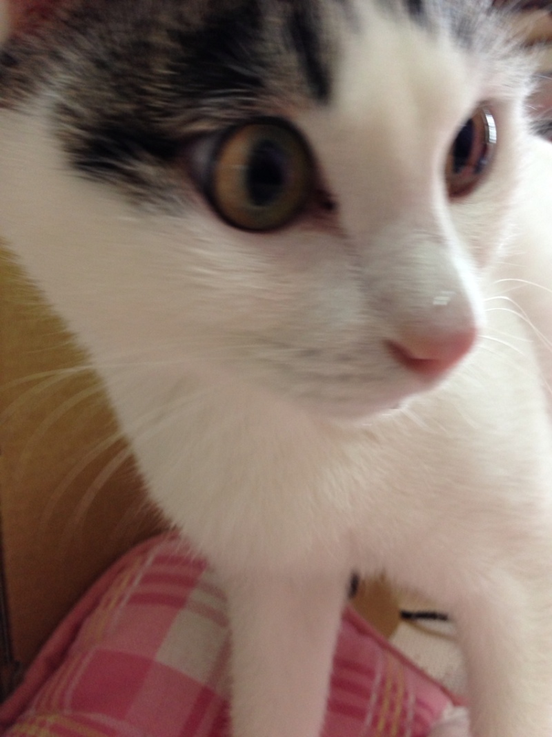 投稿写真