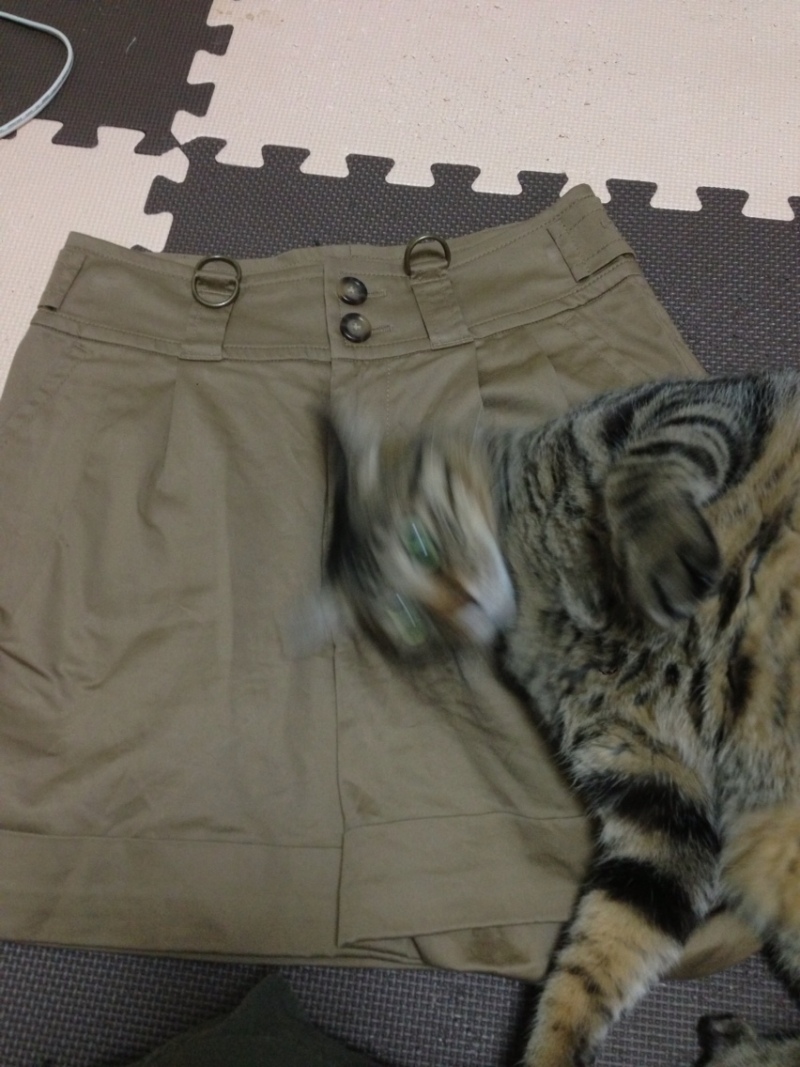 投稿写真