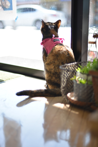 DSC_0178.jpg