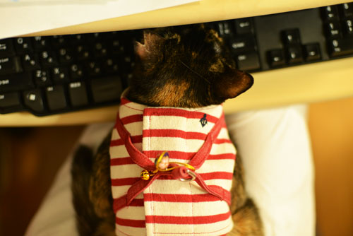 9_20130416184515.jpg