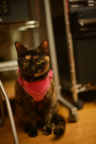 DSC_0514_20130401134317.jpg