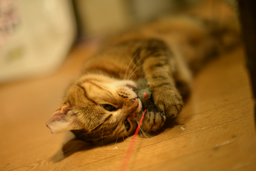 2_20130822172113657.jpg