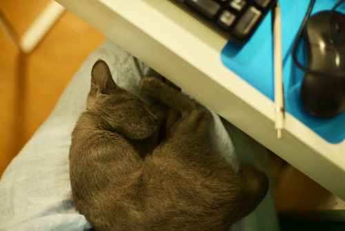 3_20130822183713bd8.jpg