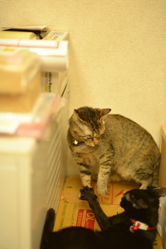 12_201310081637060fe.jpg