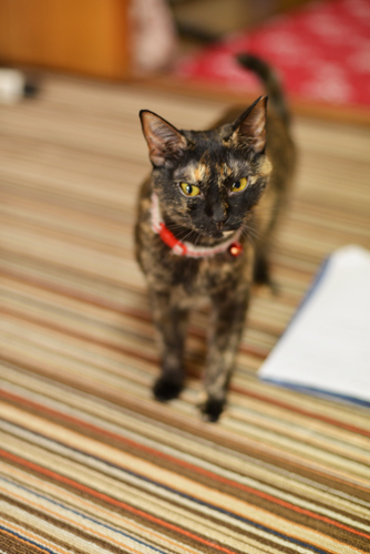 2_20131007154513c65.jpg
