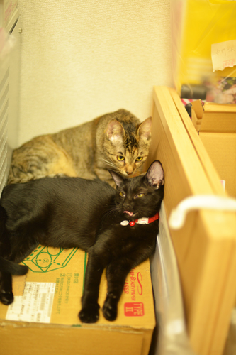 2_201310081635180f1.jpg