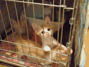 8_20131007154101396.jpg