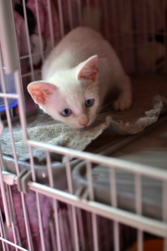 DSC_0747.jpg