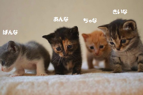 20140526 12652