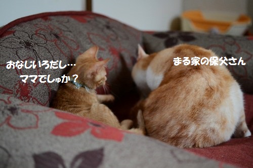 1_20140615141718a26.jpg