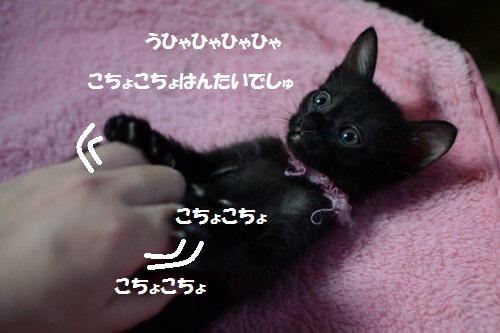 ２