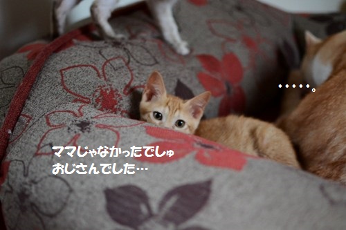 2_201406151417194c7.jpg