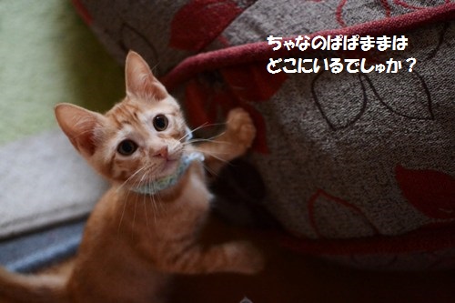 3_20140615141720828.jpg