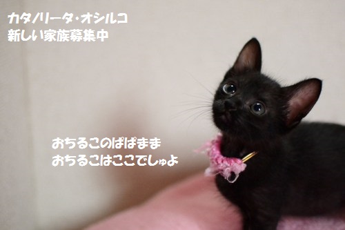 6_201406151315345fa.jpg