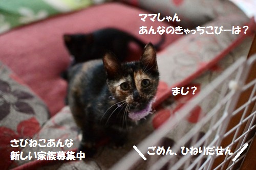 DSC_1000.jpg