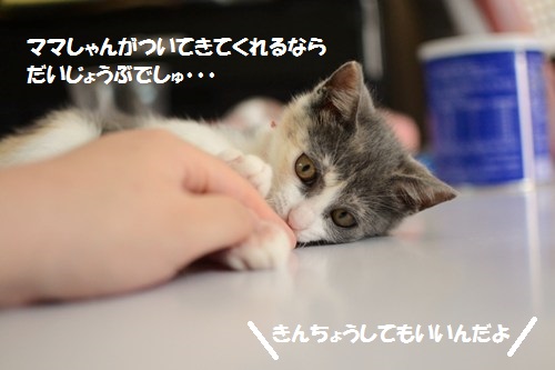 5_20140703204410476.jpg