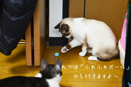 さやえんどう4
