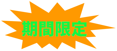 期間限定改