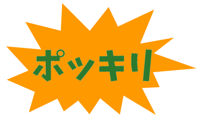 ポッキリ改