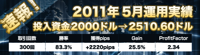 2011年5月の運用実績のバナーを交換